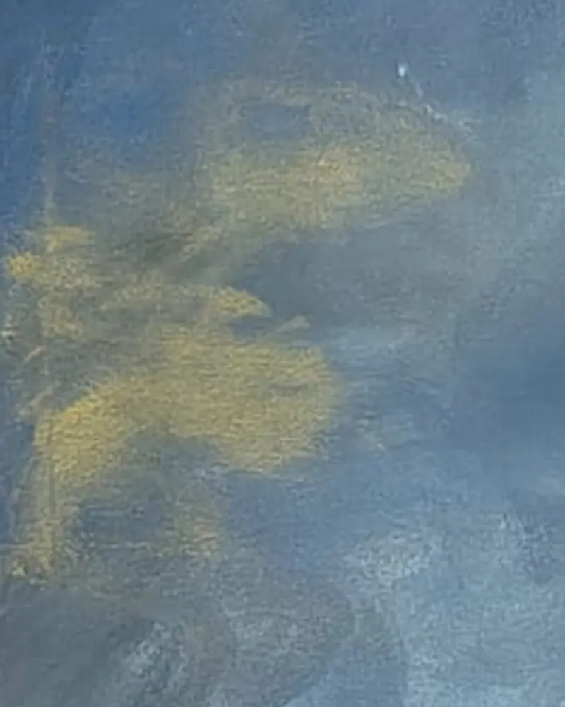 Detail of Hafsa Imran's Mother Earth: a patch of gold breaking through the grey-blue sky in the upper left of the painting