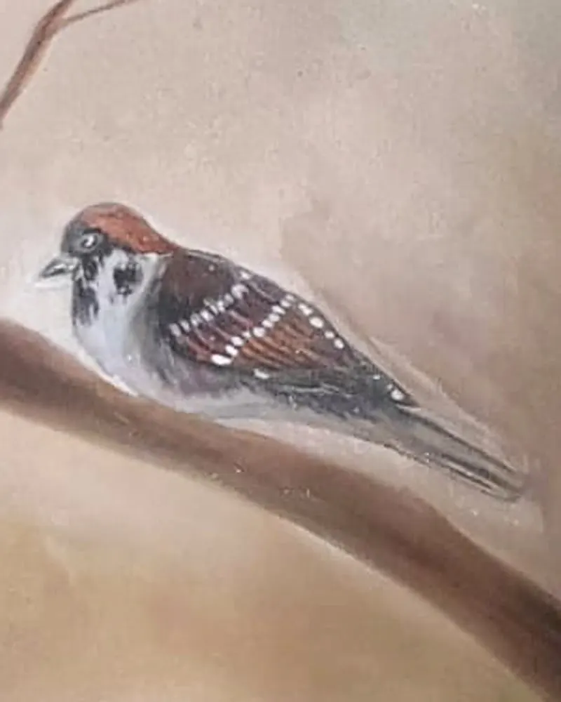 Detail of Hafsa Imran's Tawakkul: the middle sparrow, chestnut cap, black cheek spot and white bars across its brown wings, facing left on the branch