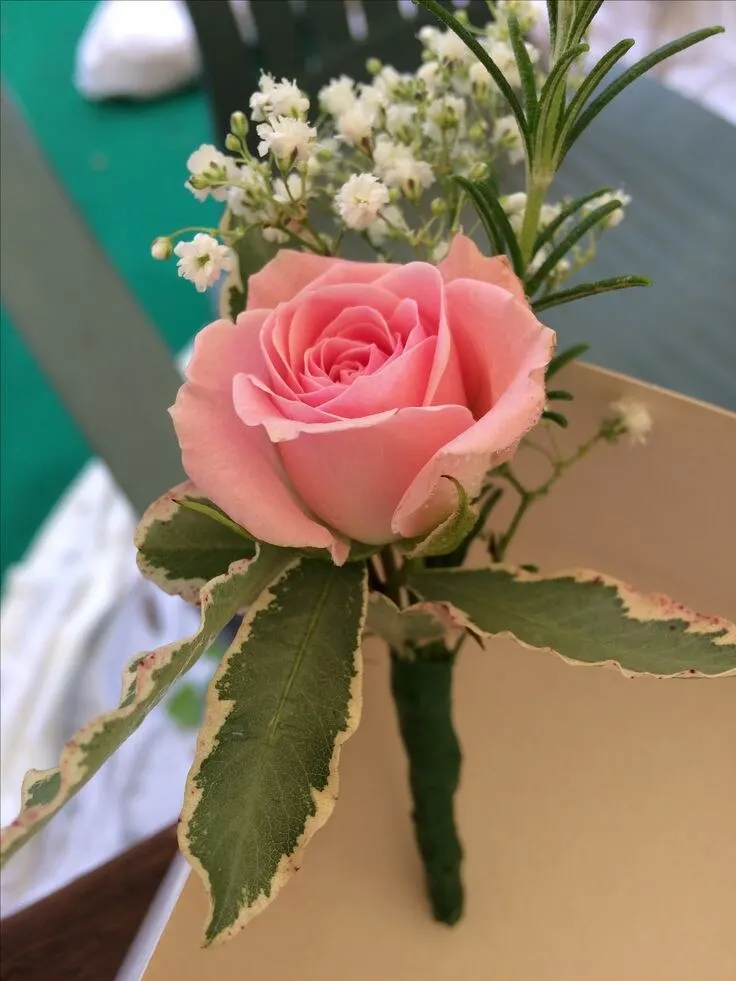 A single pink rose boutonniere with baby's breath and variegated green foliage, wired by hand — handcrafted by Bloom & Beyond in Lahore
