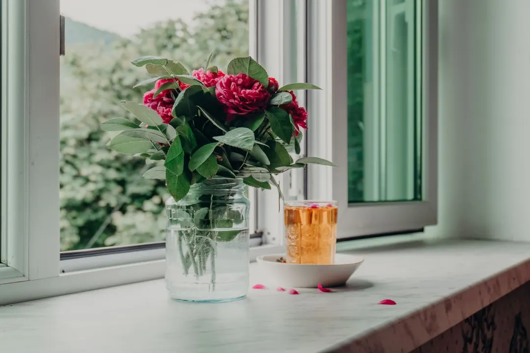 Deep pink roses in a glass vase on a sunlit window sill beside a glass of tea