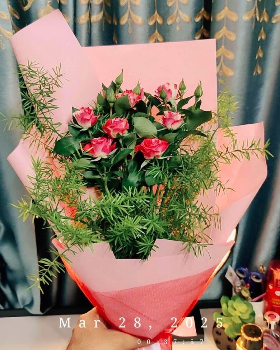 Pink rose bouquet — a dozen fresh pink roses wrapped in matching pink paper with a ribbon — handcrafted by Bloom & Beyond in Lahore