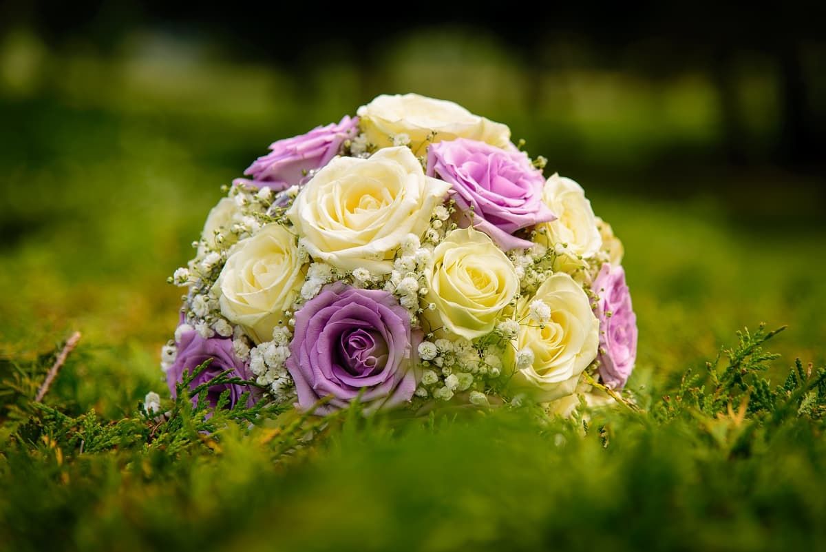 A vibrant mix of the freshest seasonal flowers, hand-arranged in our signature style — handcrafted by Bloom & Beyond in Lahore